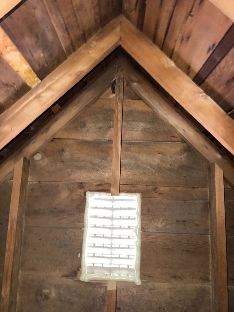 Bat Removal Hillsborough